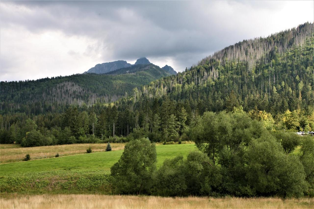 Tatra Rest Apartamento Kościelisko Exterior foto